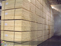 上海建材市場供應優(yōu)質云杉，助力城市建設與家居裝修